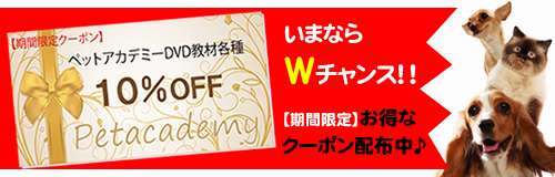 ペットアカデミー教材10%割引クーポン!