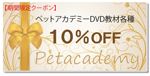 PAクーポン10%OFF