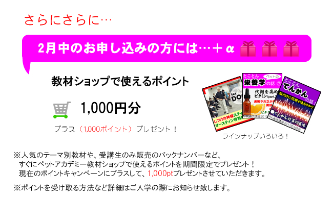 ペットの栄養学Q&A集中コース