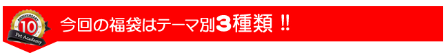 ペットアカデミー10周年記念「選べる福袋」 10周年