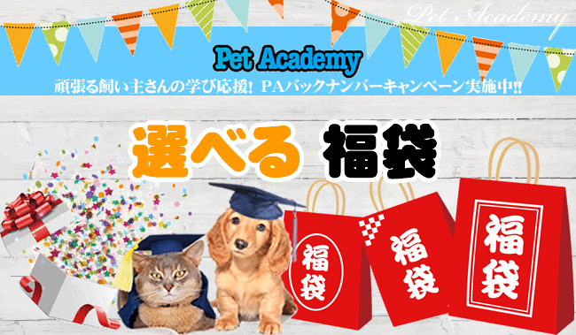 福袋 須崎動物病院 ペットアカデミー バックナンバーキャンペーン