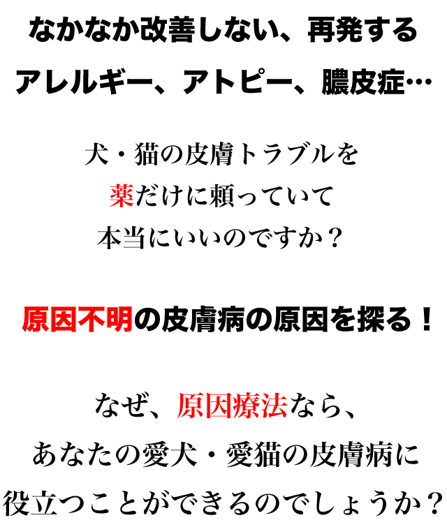 原因療法で皮膚病を考える
