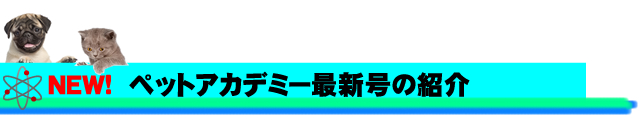 ¥Ú¥Ã¥È¥¢¥«¥Ç¥ß¡¼ÄÌ¿®¹ÖºÂºÇ¿·¹æ¤Ï¤³¤Á¤é