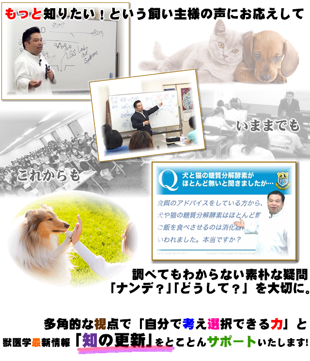 あなたの「もっと知りたい!」を徹底的にサポートします