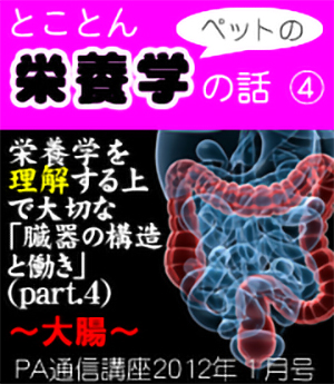 2012年1月号「とことんペットの栄養学の話~臓器の構造と働き(その4)大腸」
