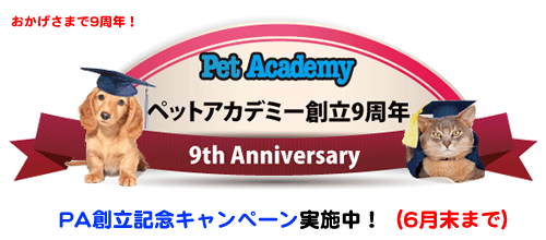 ペットアカデミー創立9周年記念キャンペーン実施中!