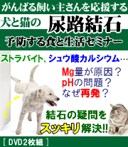 がんばる飼い主さんを応援する犬猫の尿路結石を予防する食と生活セミナー2014