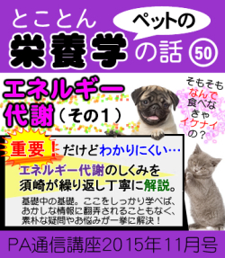 2015年11月号「エネルギー代謝(その1)−まずは基本編、食べると元気・エネルギーになるメカニズムとは?-」