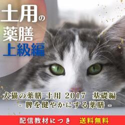 犬猫の薬膳　土用　2017　上級編　- 脾を健やかにする薬膳 -