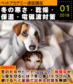 ペットアカデミー通信講座2018年1月号「冬の乾燥・保温&電磁波対策」