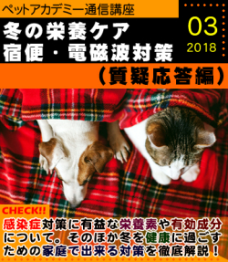 2018年3月号 冬の栄養ケアと宿便と電磁波対策の質疑応答