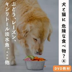 犬と猫に危険な食べ物？（その４）